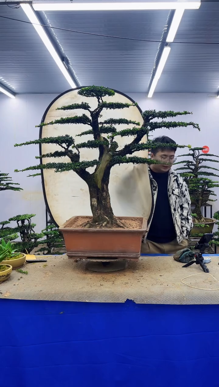 完全开放一物一拍，所见即所得