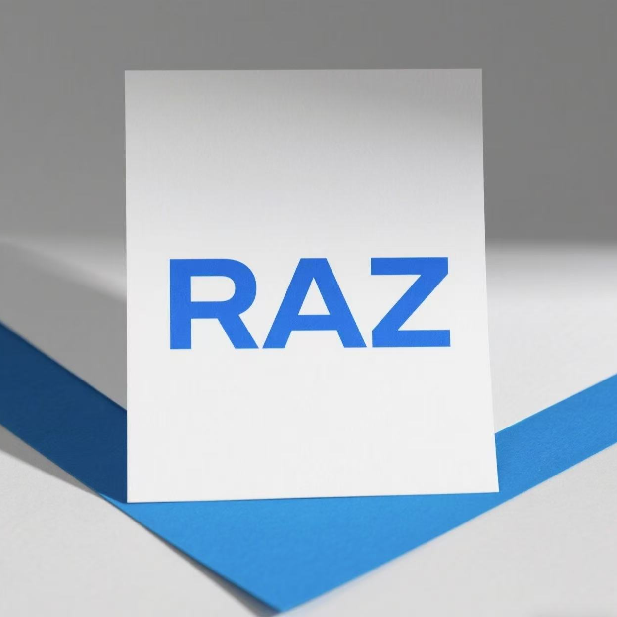 NO退NO换 RAZ 分级分册 蓝标
