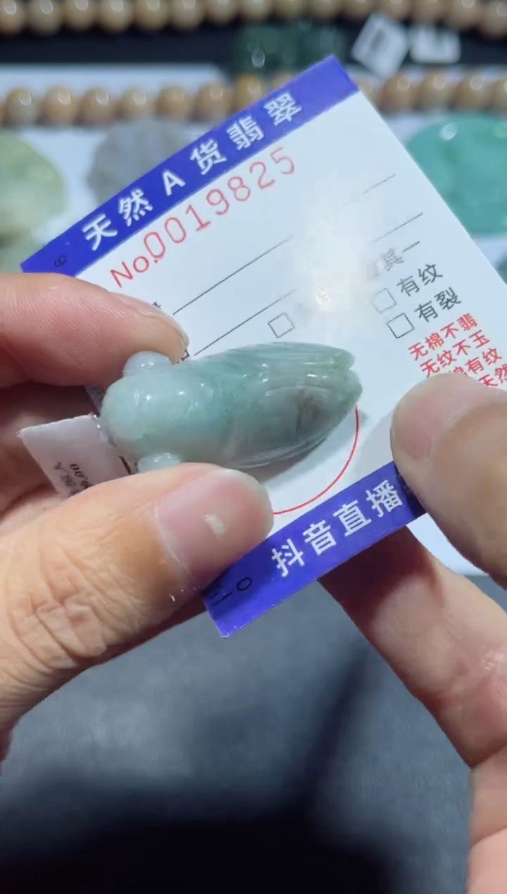 【闪购商品】翡翠颈饰未镶嵌00019825