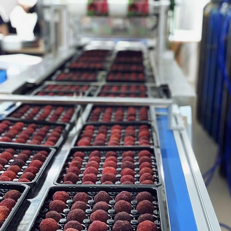 粉丝多送30颗【大果颗粒装】正宗仙居东魁杨梅新鲜采摘顺丰氮气锁鲜