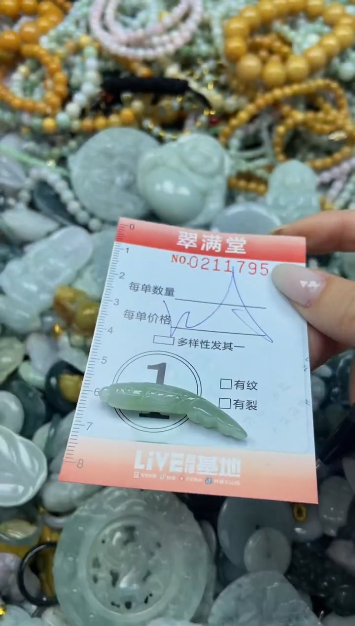 颈饰未镶嵌翡翠闪购0211795