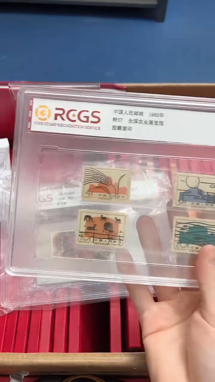 【闪购商品】特37全国农业展览馆（店铺发货）