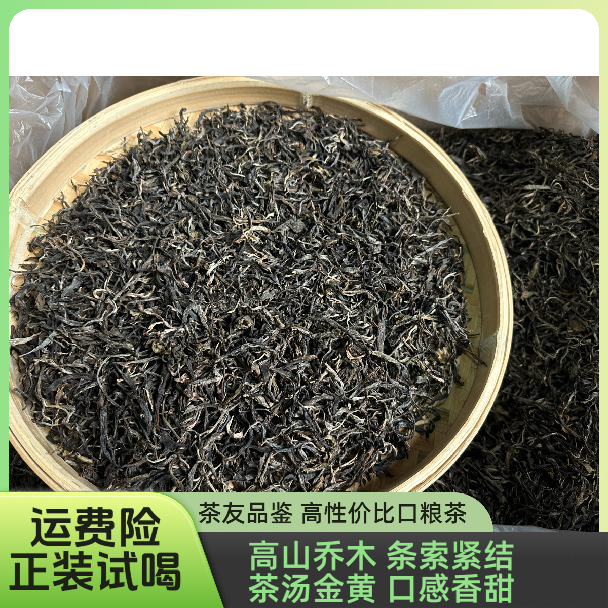 云南普洱生茶茶农源头茶山直采生普洱茶头春产地直发口粮茶直播间