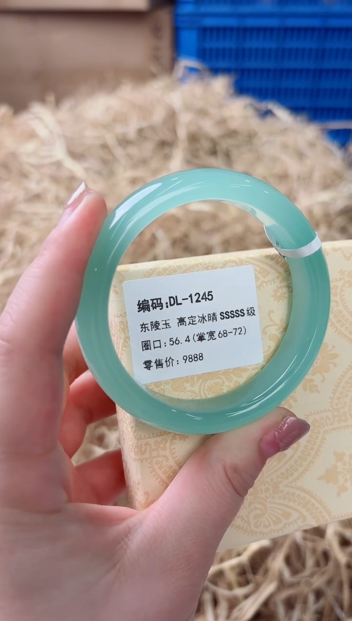 未镶嵌手镯石英质玉DL-1245
