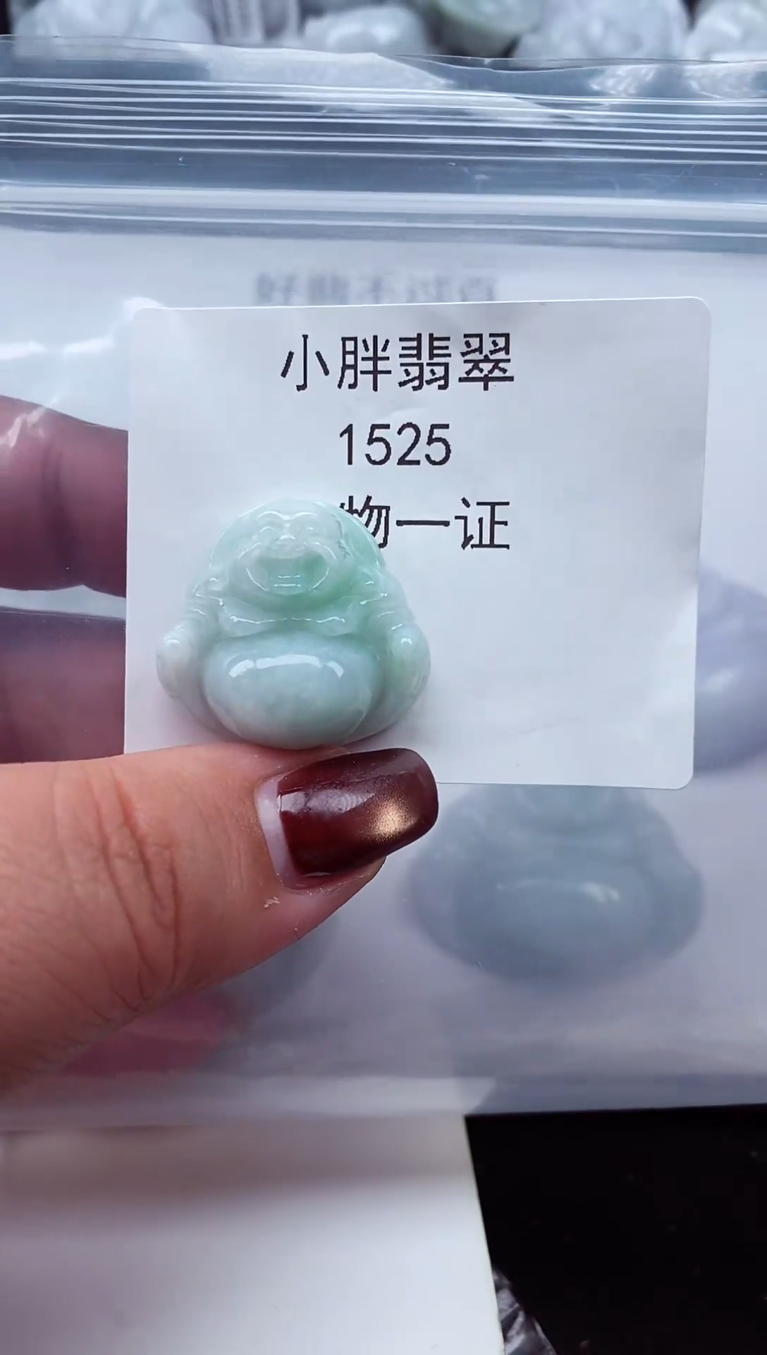 颈饰未镶嵌翡翠缅甸天然A货翡翠1525