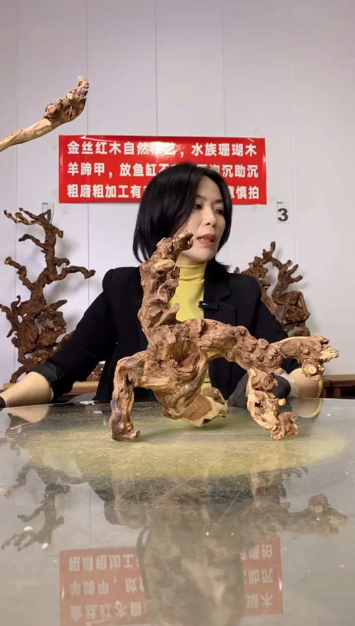 【闪购商品】木18金丝红木 羊蹄甲