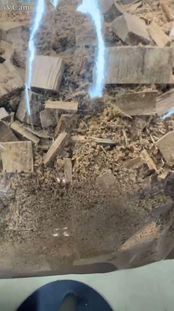 众筹款柬埔寨菩萨棋碎料锯沫5g装