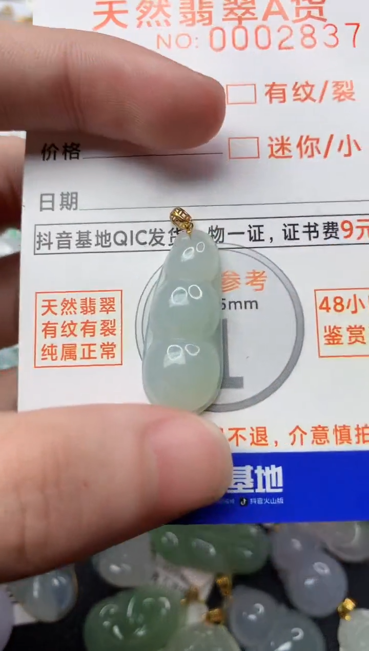 【闪购商品】翡翠颈饰18K金镶嵌5............