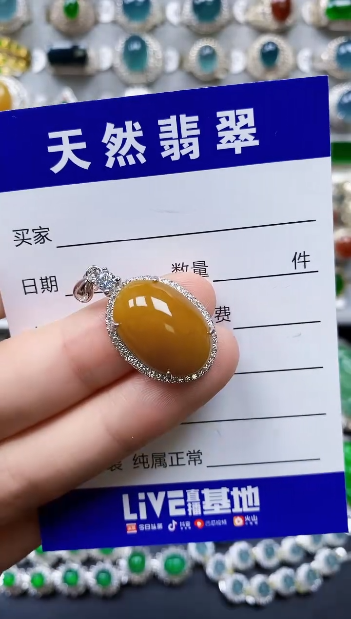 【闪购商品】翡翠银S925镶嵌颈饰0340