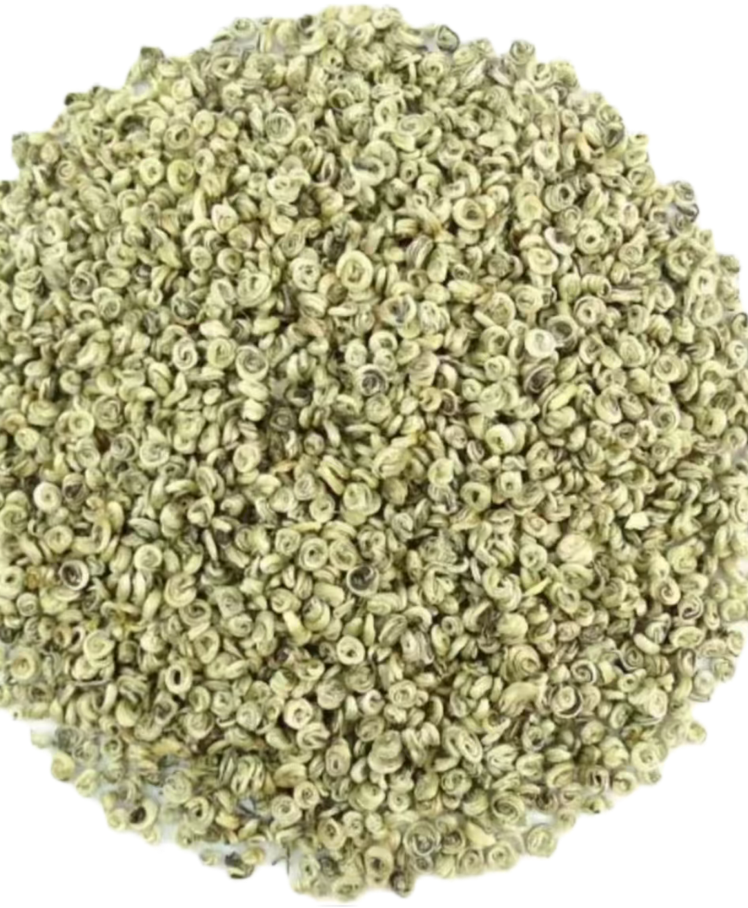 茉莉花茶茉莉小芽珍珠王