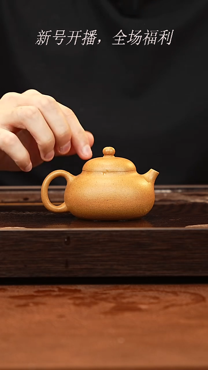 茶壶紫砂11y25黄金段文旦