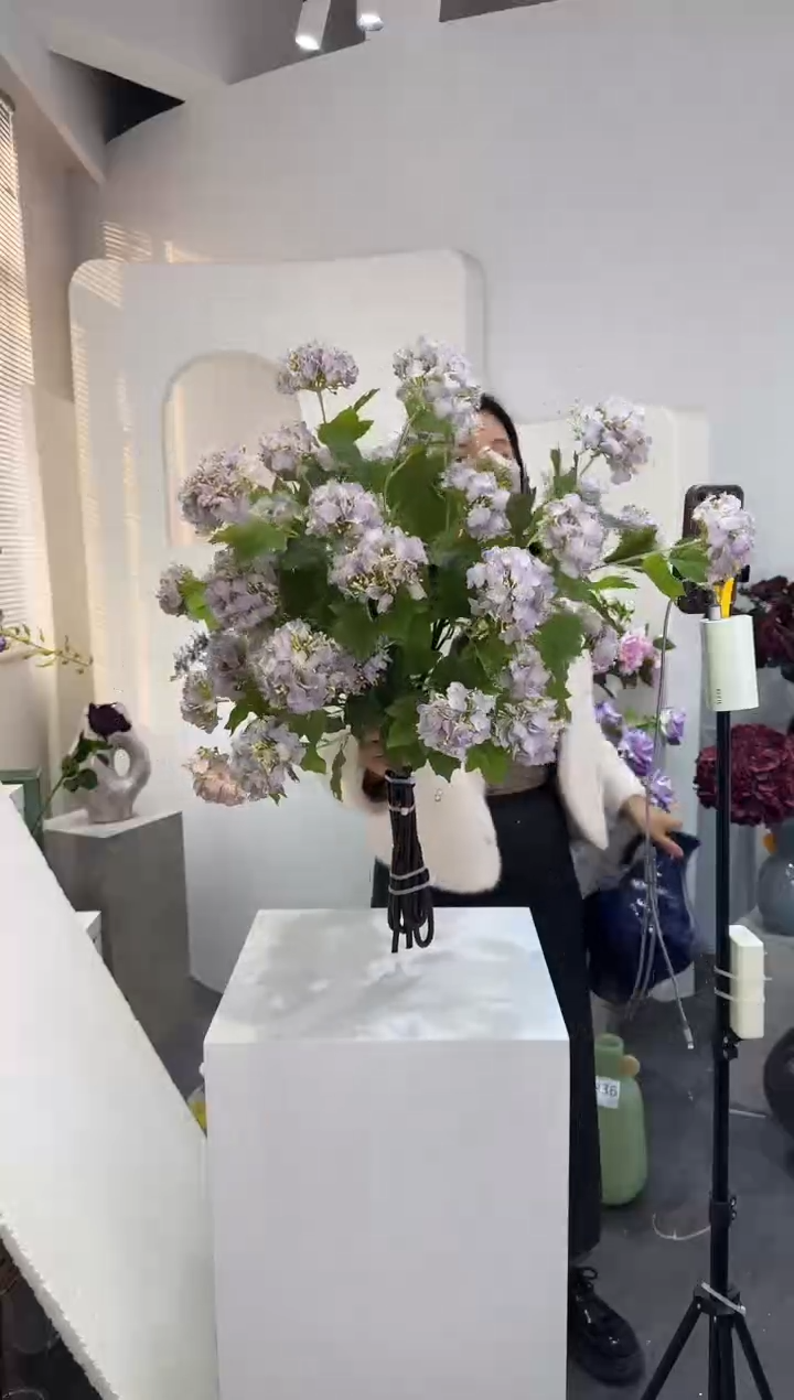 【闪购商品】藤3支香芋紫四头绣球