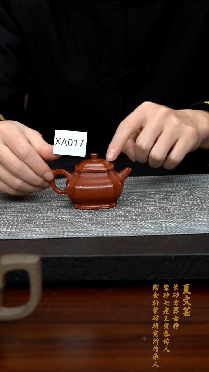 【闪购商品】紫砂茶壶XA017-0213YWX