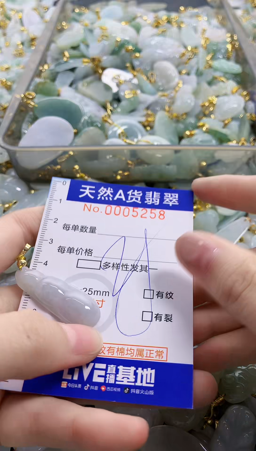 颈饰未镶嵌翡翠纯天然a货翡翠