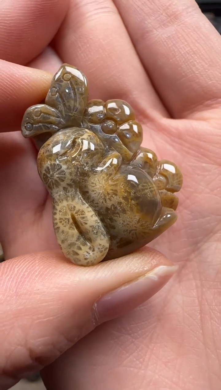 【闪购商品】硅化珊瑚（珊瑚玉）颈饰未镶嵌539