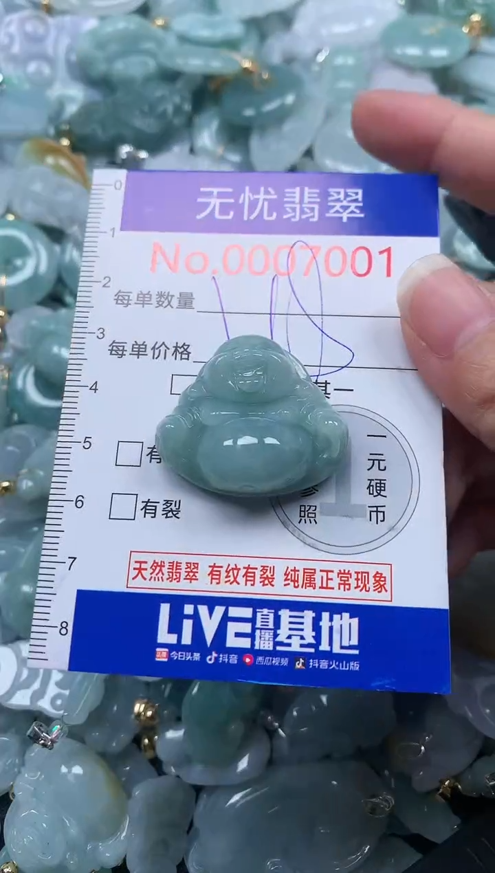 颈饰未镶嵌翡翠7001