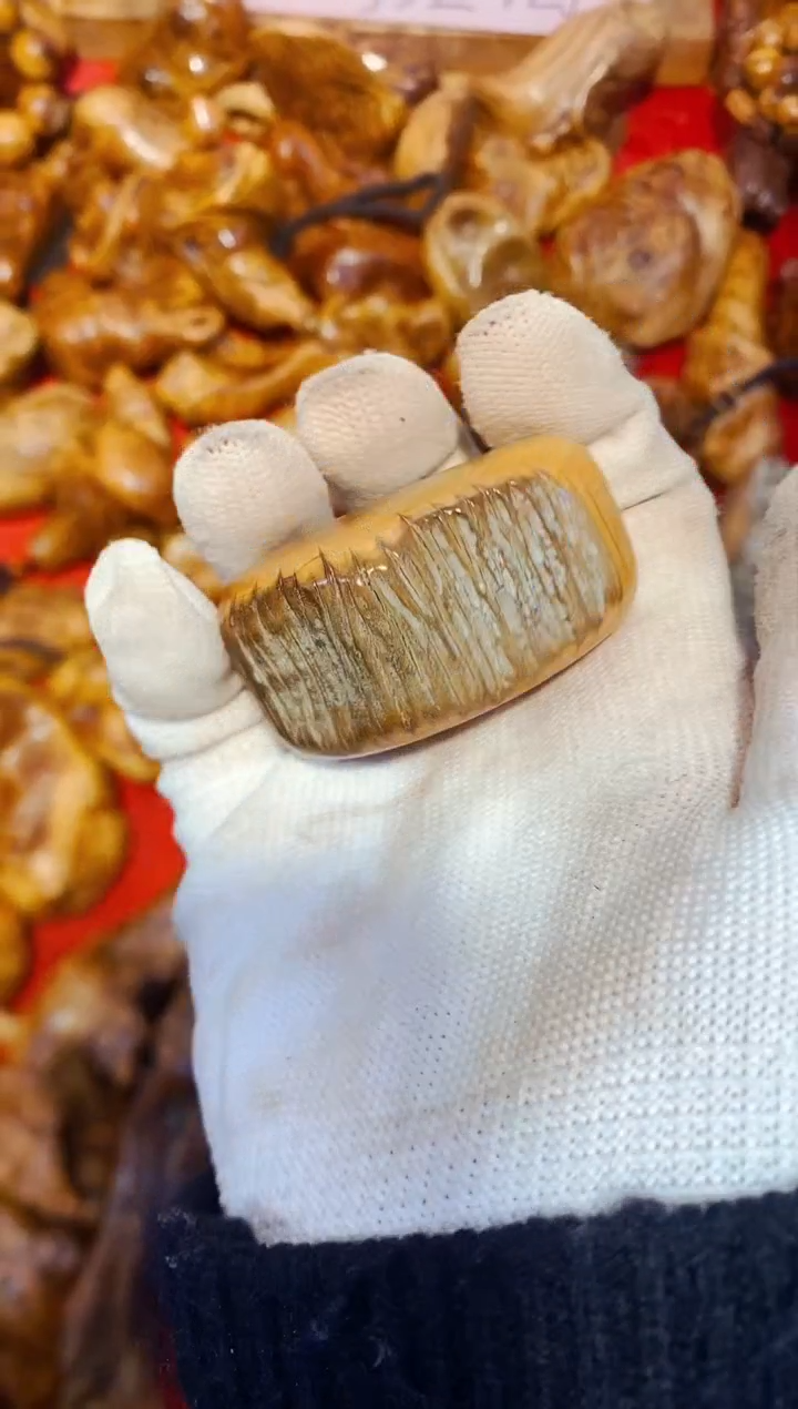 柏木（崖柏）74北太行崖柏手把件手串