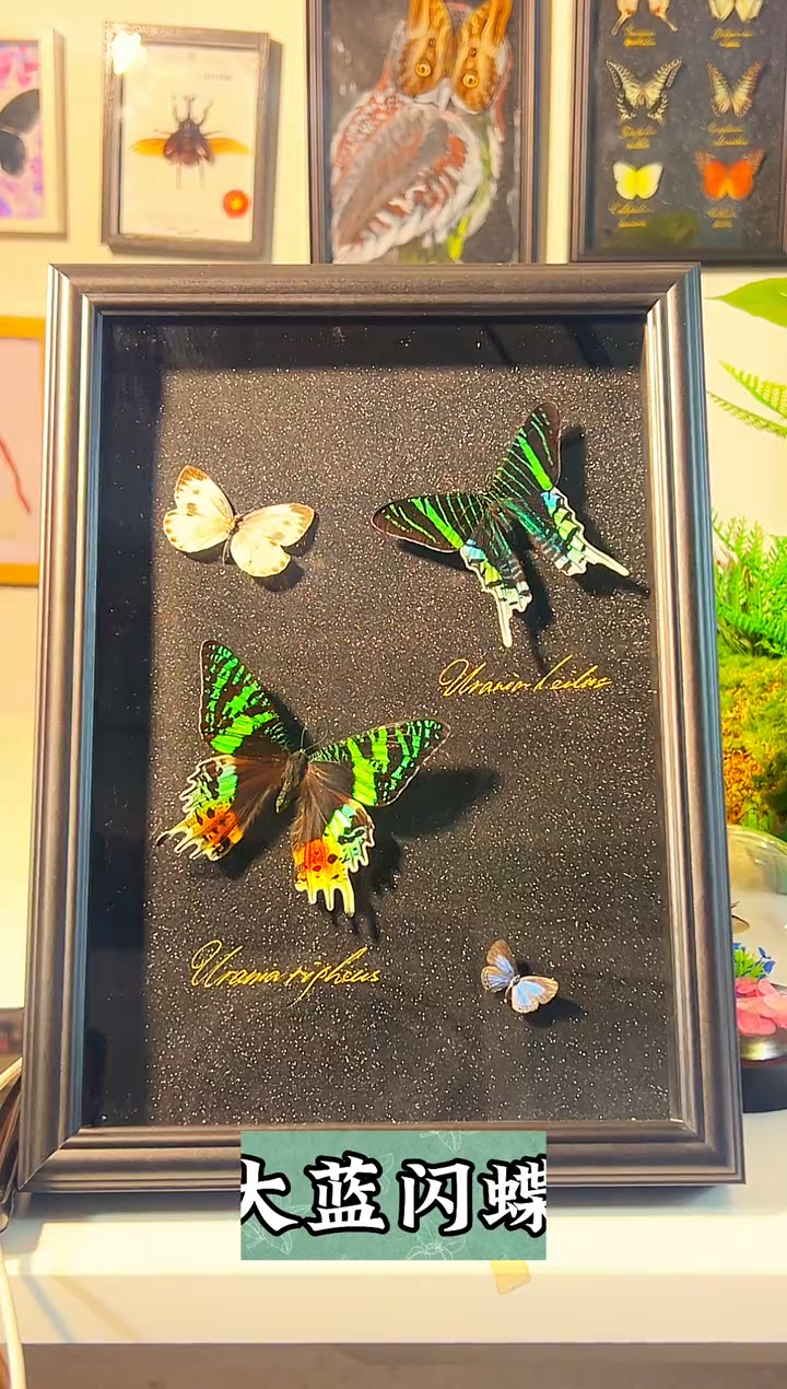 有机玻璃333333333333