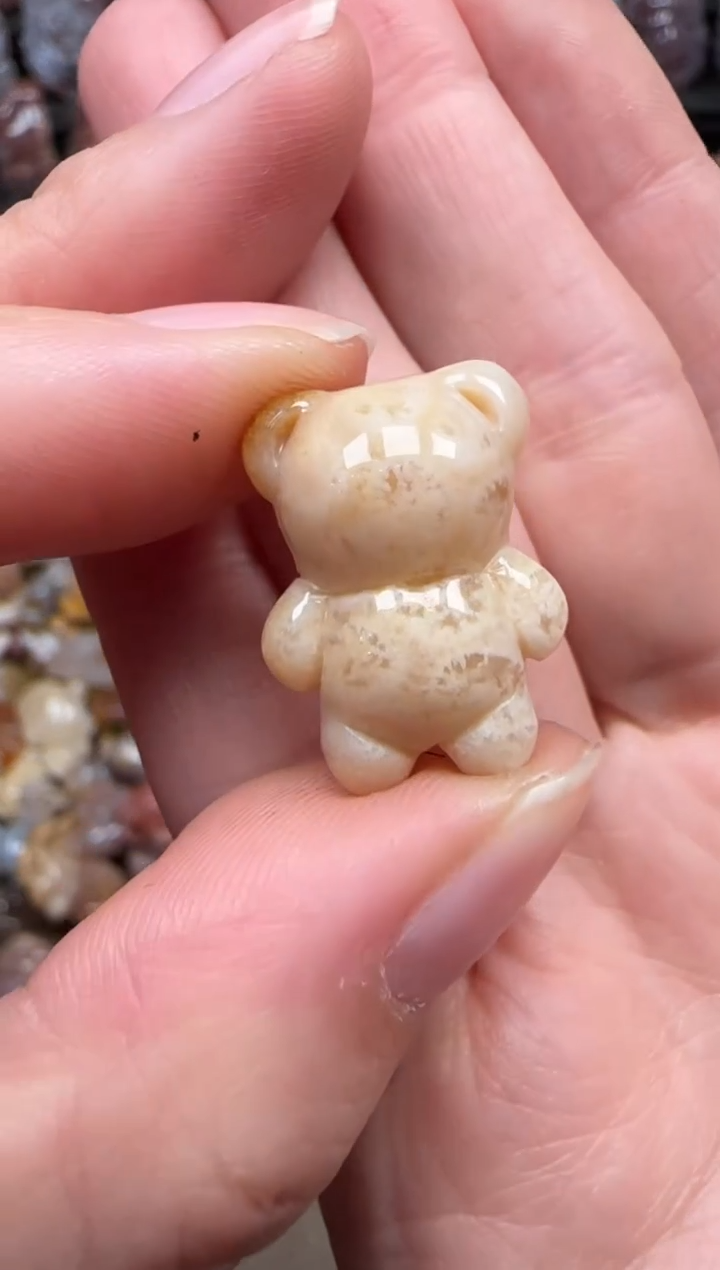 颈饰未镶嵌硅化珊瑚（珊瑚玉）763