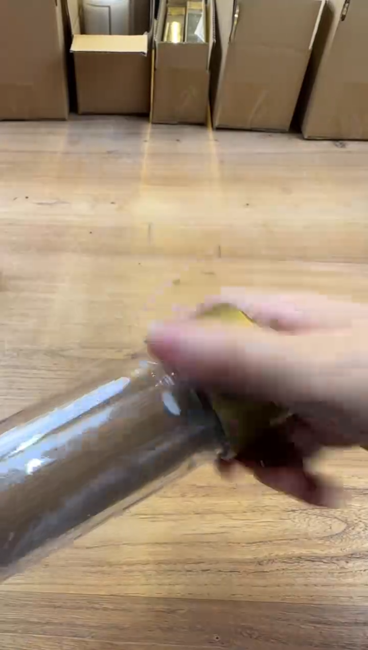 线香2号 海南尖峰岭