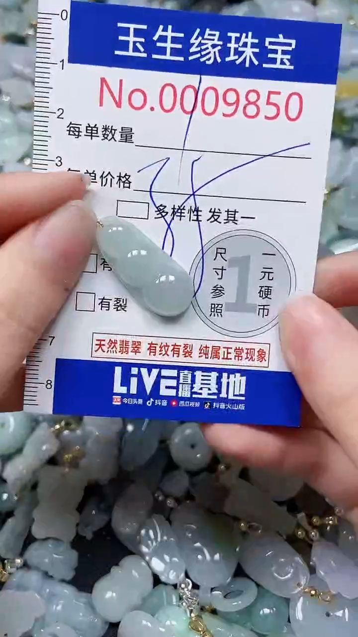 【闪购商品】翡翠颈饰未镶嵌闪购00009850