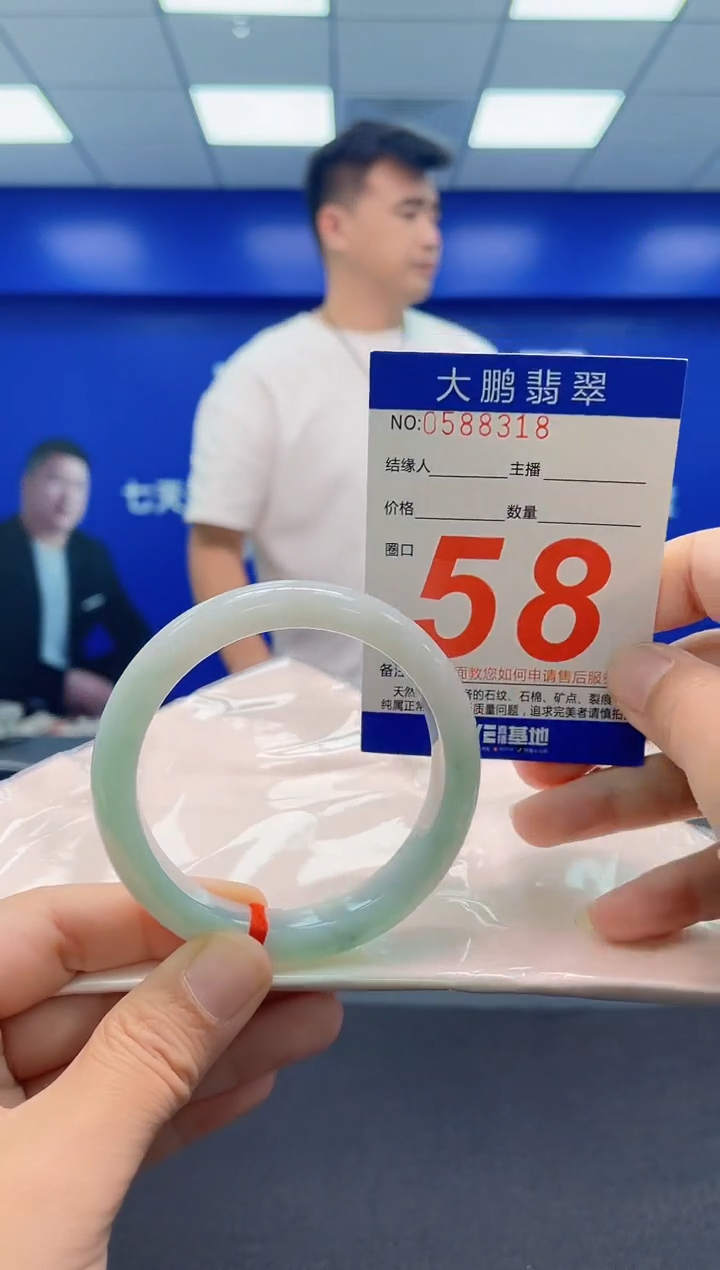 未镶嵌手镯翡翠AAAAAAAAA