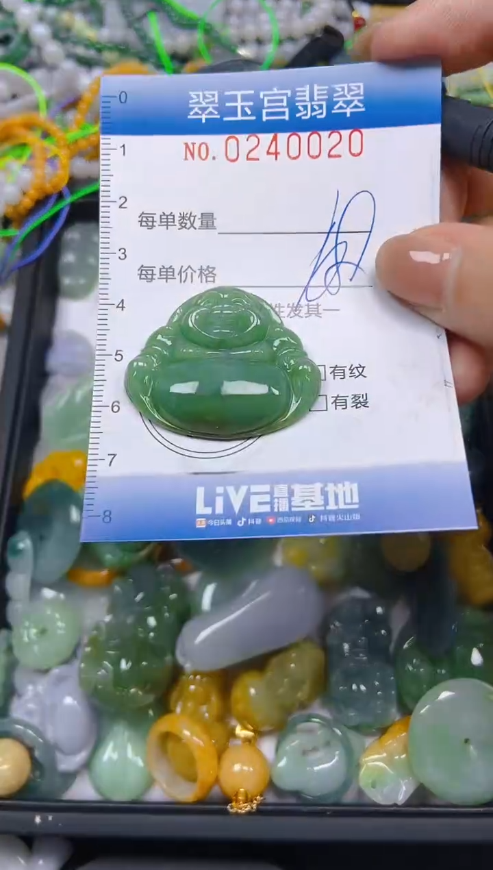 颈饰未镶嵌翡翠闪购C0240020