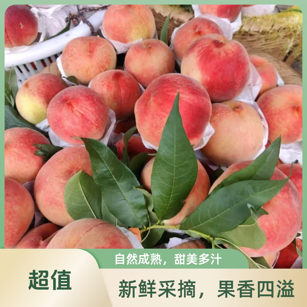 （九鼎直发）四川龙泉驿水蜜桃1.8公斤礼盒装（软糯香甜桃味十足）当季新鲜水果桃子四川省