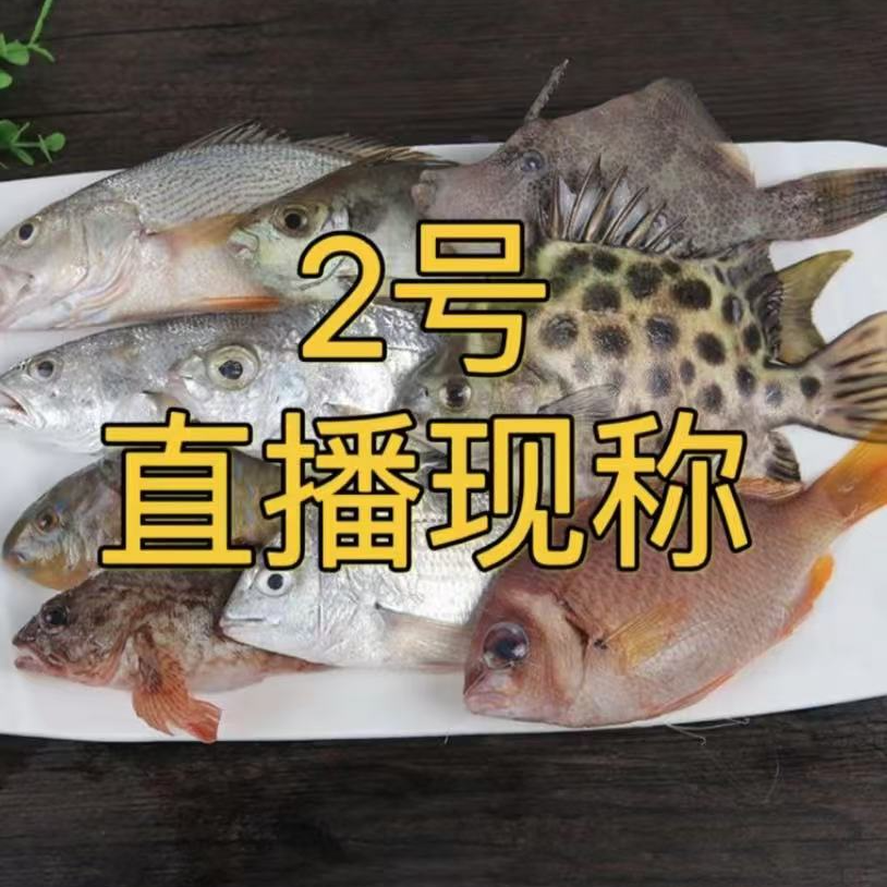 直播现称鱼2号斤数以直播间为准