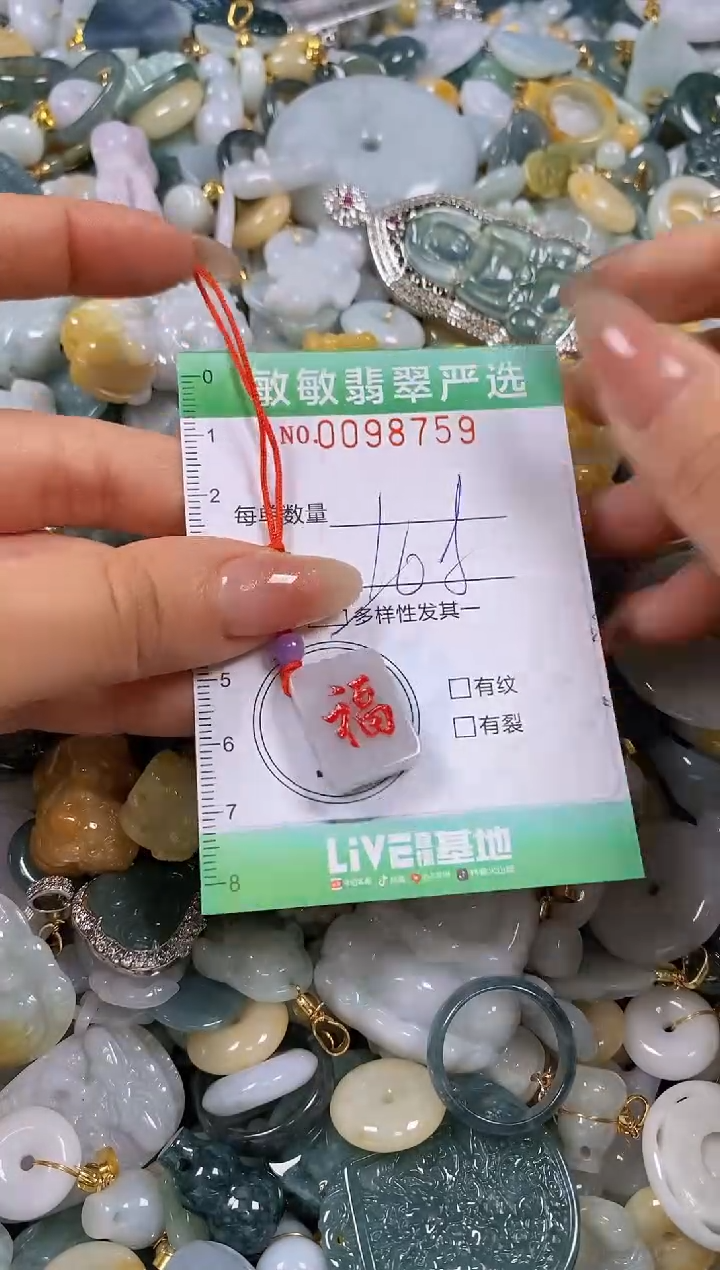 【闪购商品】翡翠颈饰未镶嵌闪购0098759