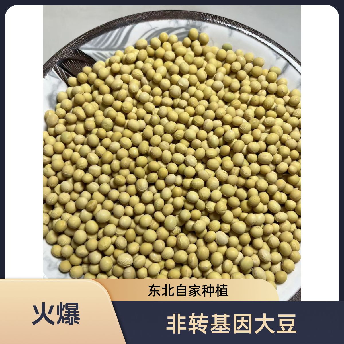 东北自家种植小黄豆打豆浆颗粒饱满圆润非转基因东北黄豆农产品
