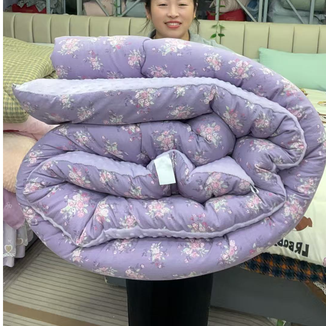 豆蔻年华冬季加厚牛奶绒冬被加棉加厚保暖恒温亲肤柔软