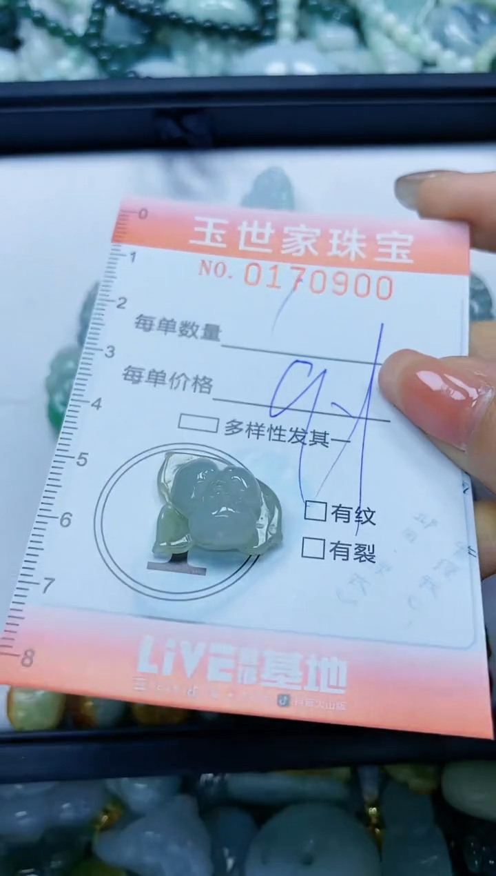 【闪购商品】翡翠颈饰未镶嵌闪购0170900