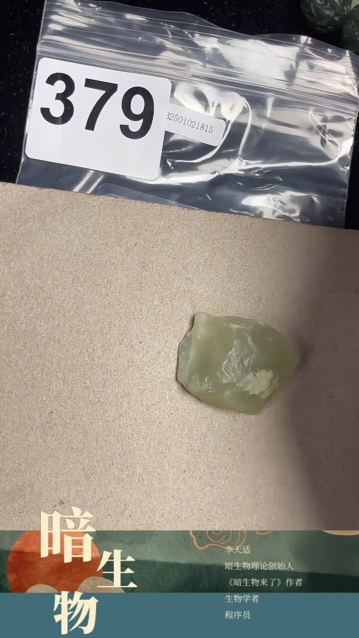 【闪购商品】和田玉吊坠(赠链)未镶嵌379