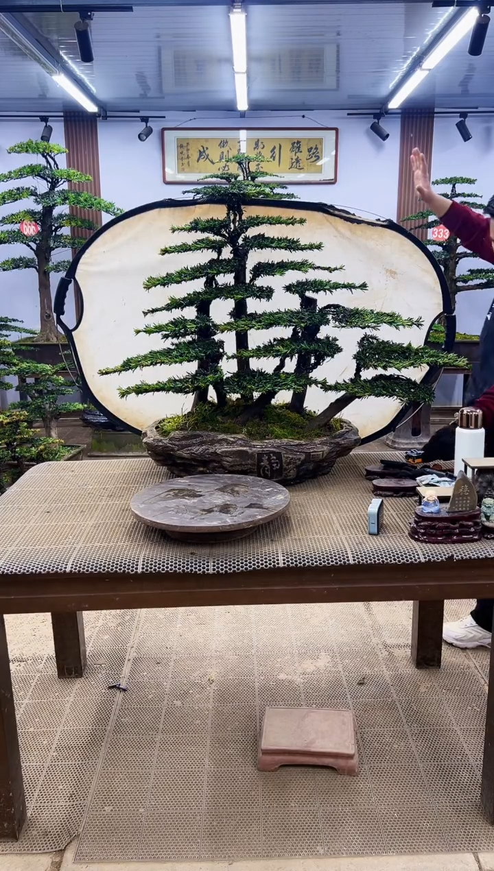 【闪购商品】000000000