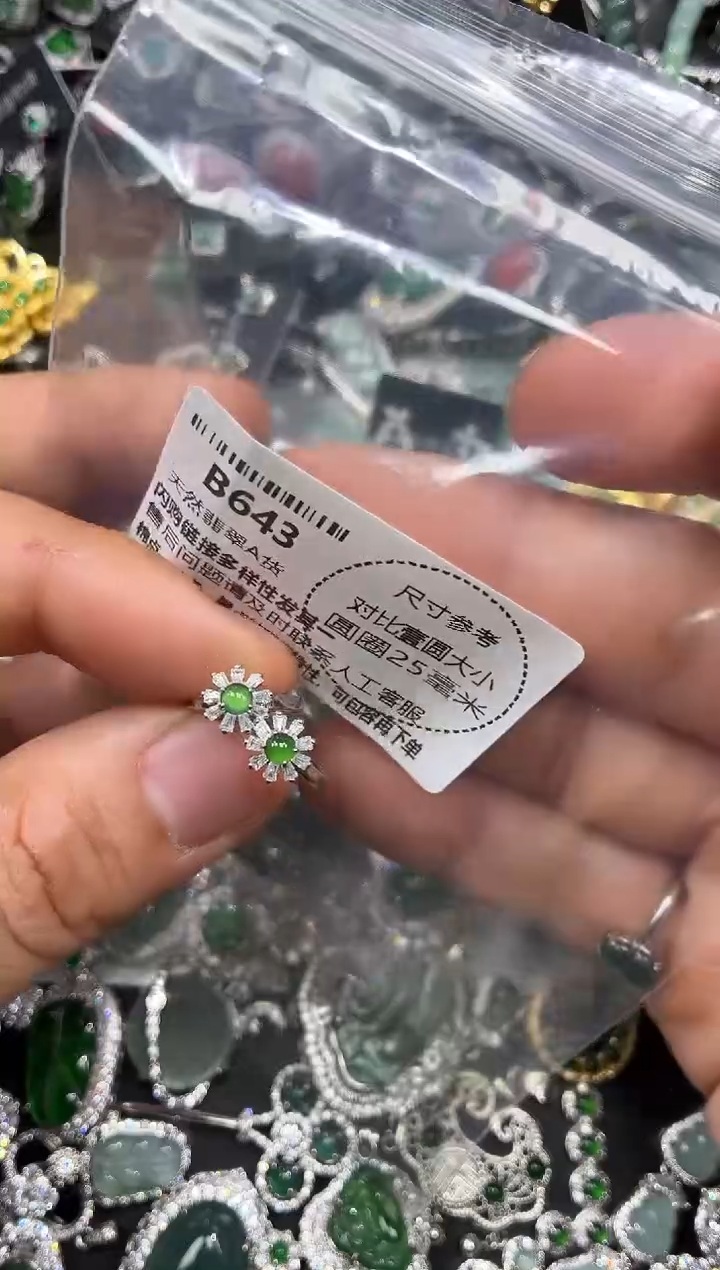 颈饰未镶嵌翡翠B643耳扣