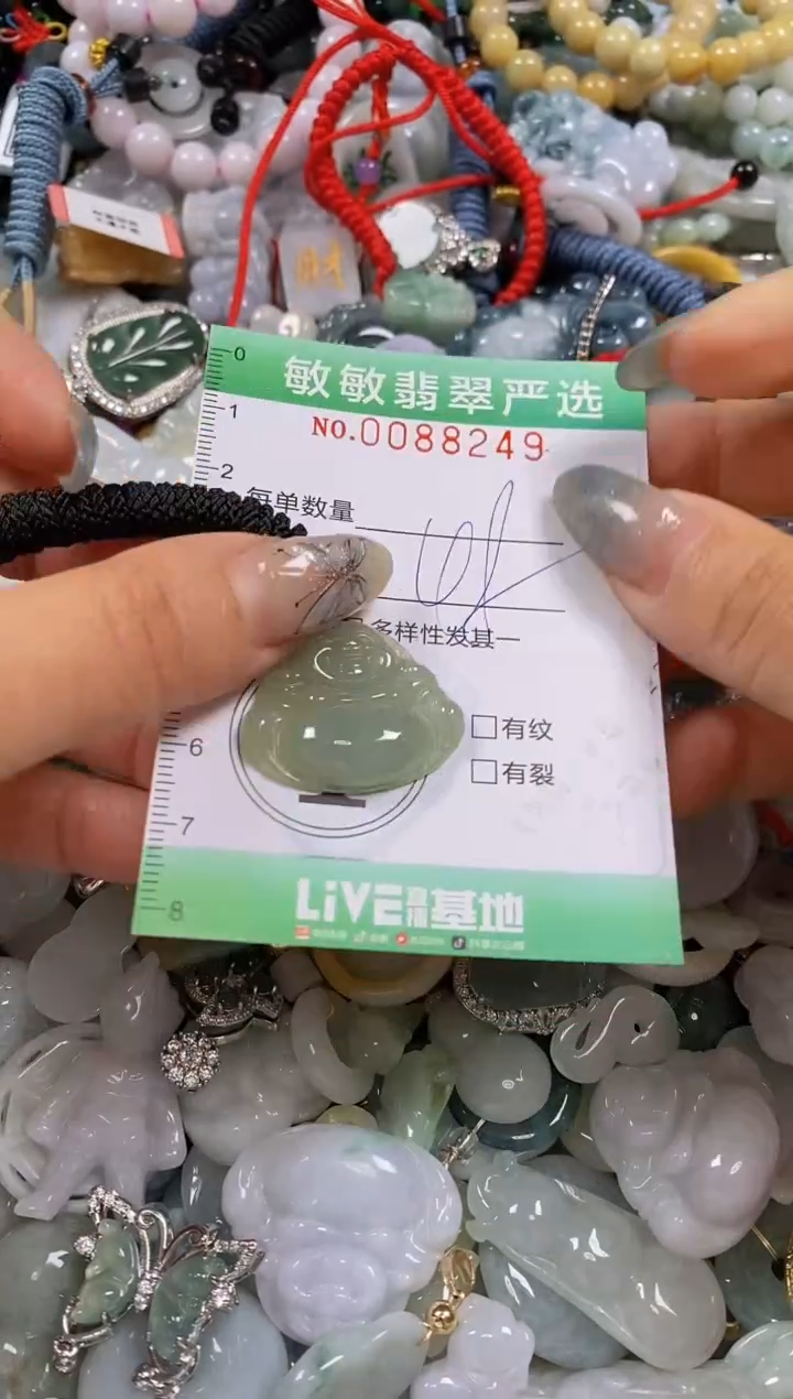 【闪购商品】翡翠颈饰未镶嵌闪购0088249