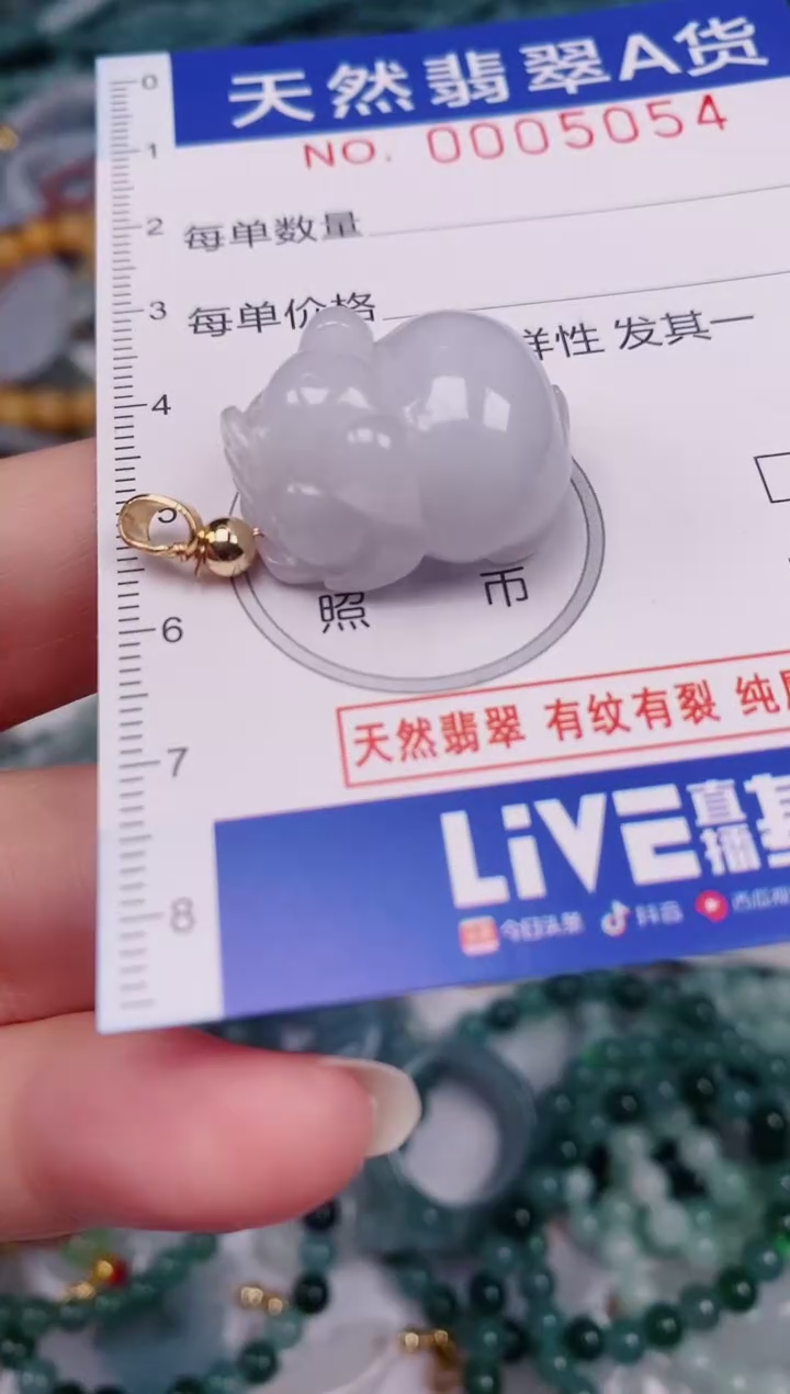颈饰未镶嵌翡翠00005054