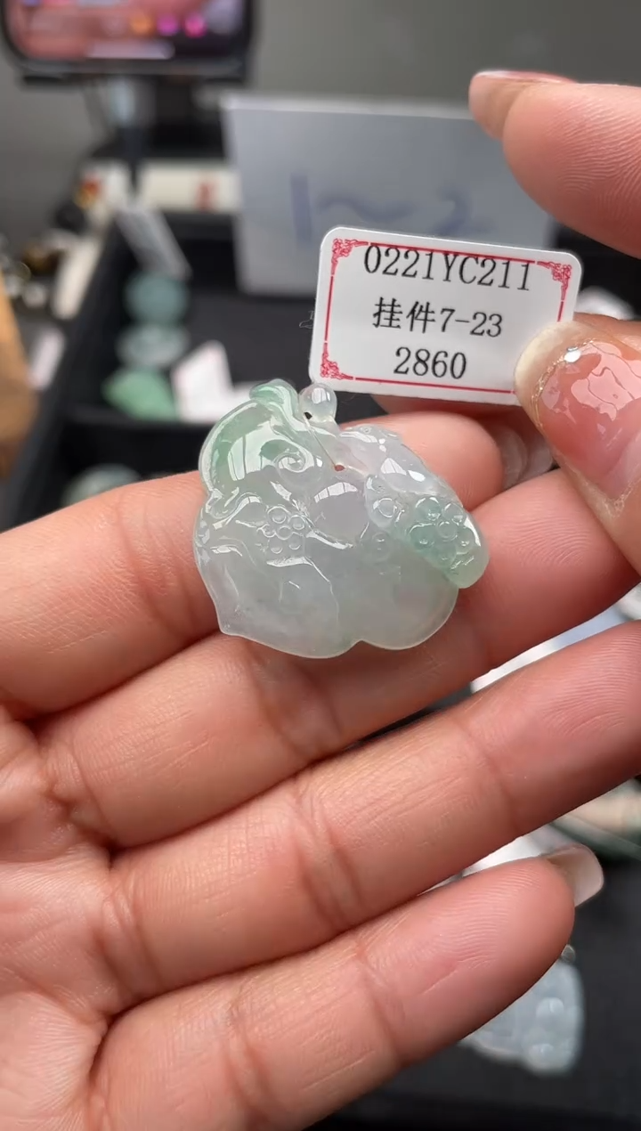 【闪购商品】翡翠挂件未镶嵌0221YC211