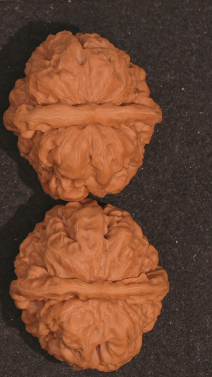 【闪购商品】文玩核桃把件蛤蟆头40左右