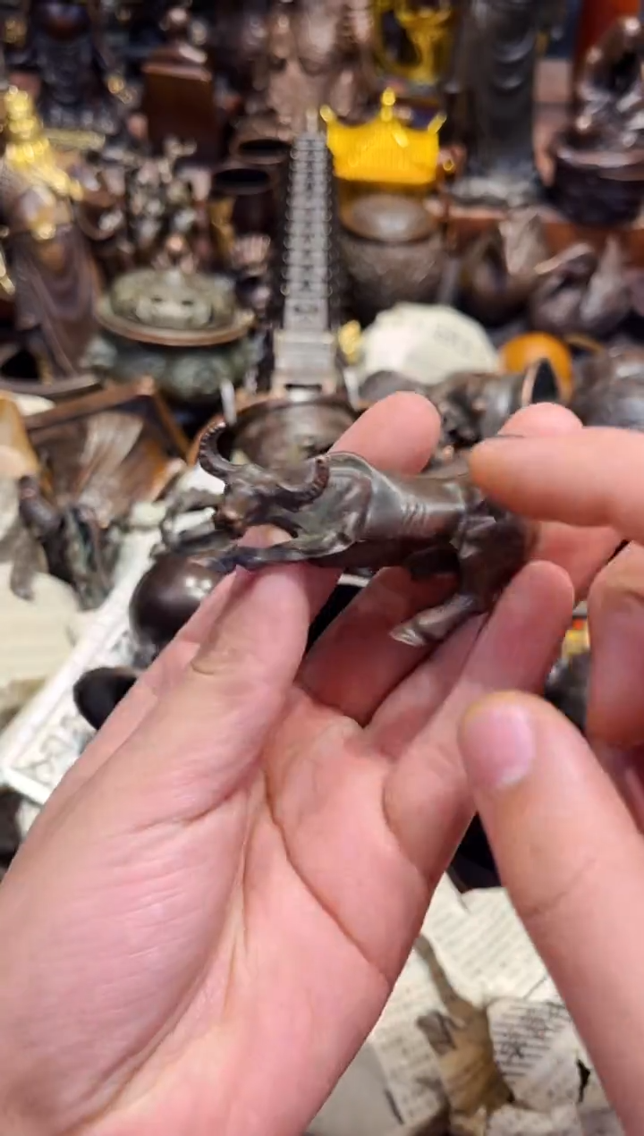 【闪购商品】R冒险家精品专属链接15