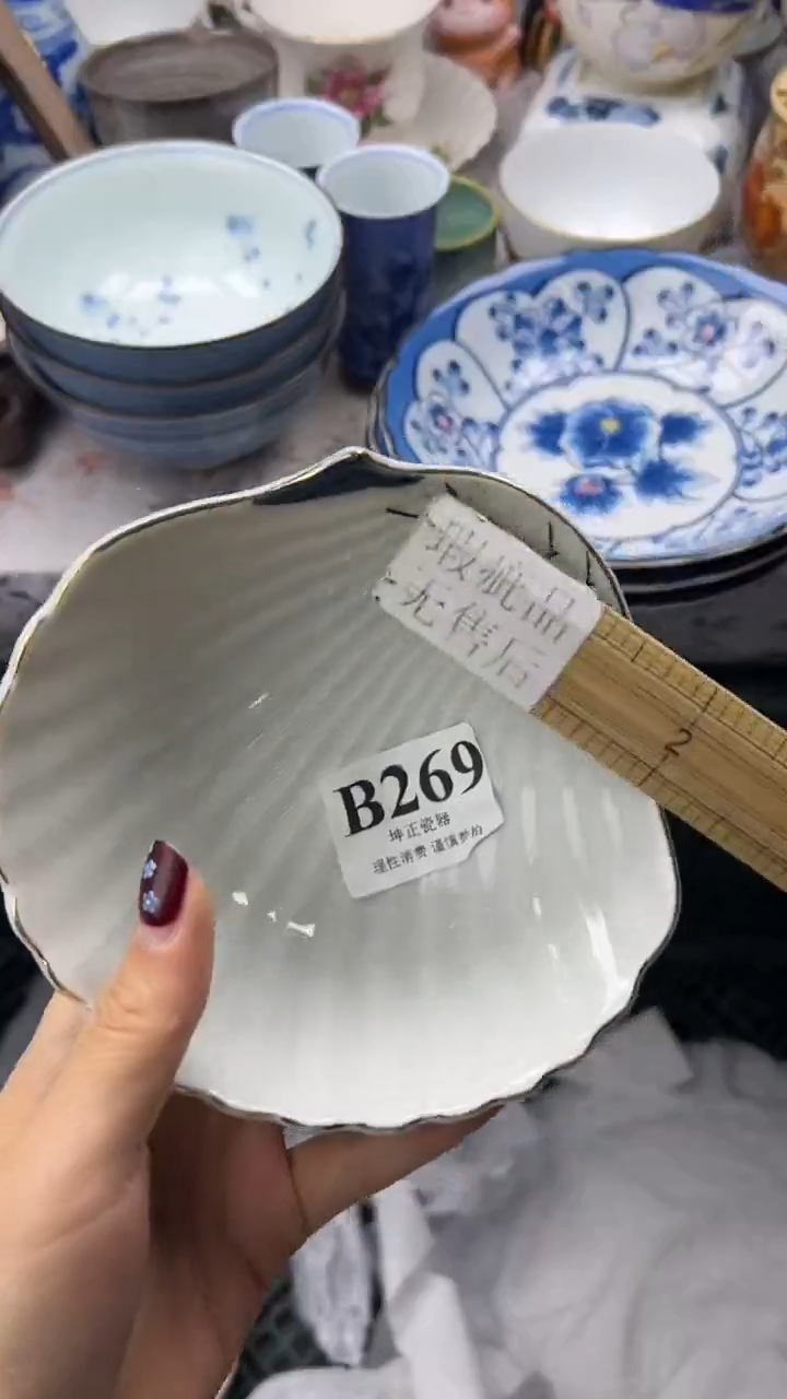 瓷片          B269