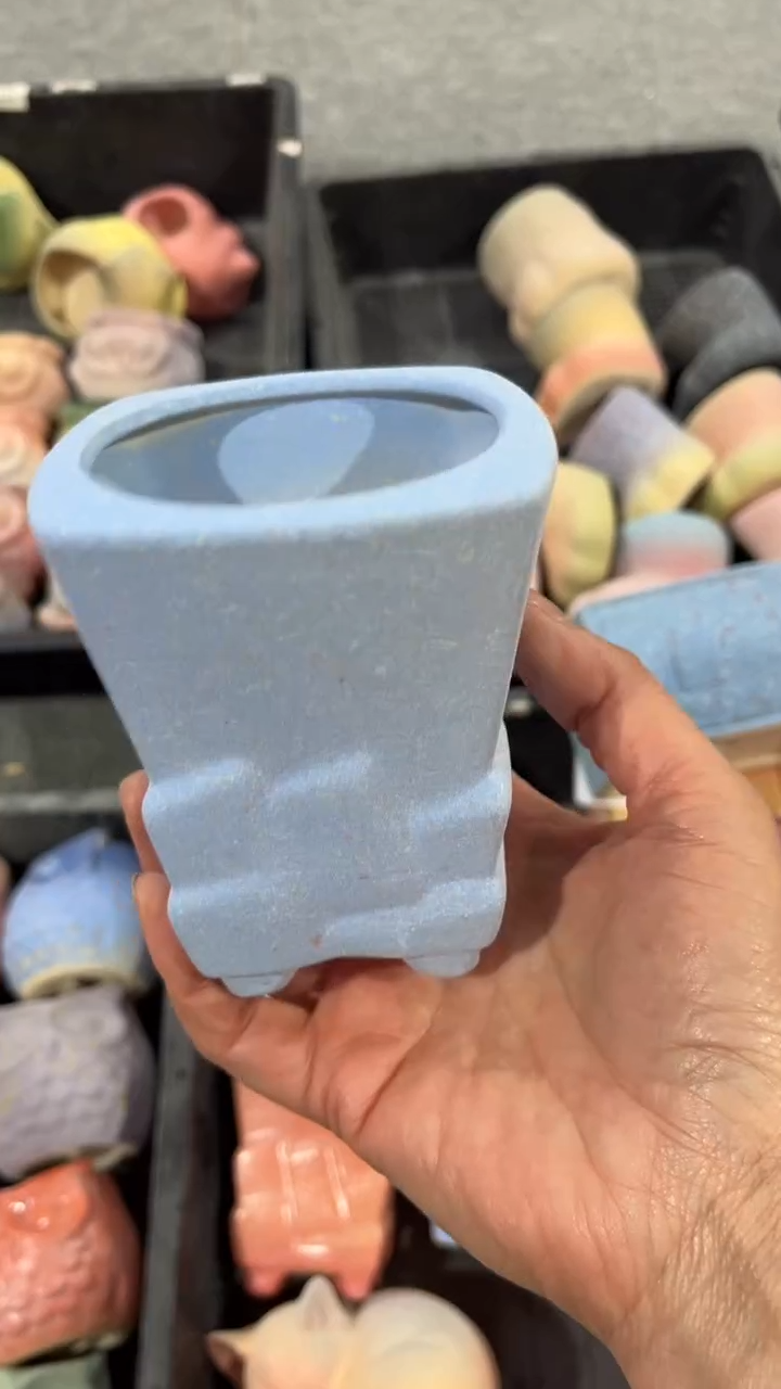 【闪购商品】红陶7*8