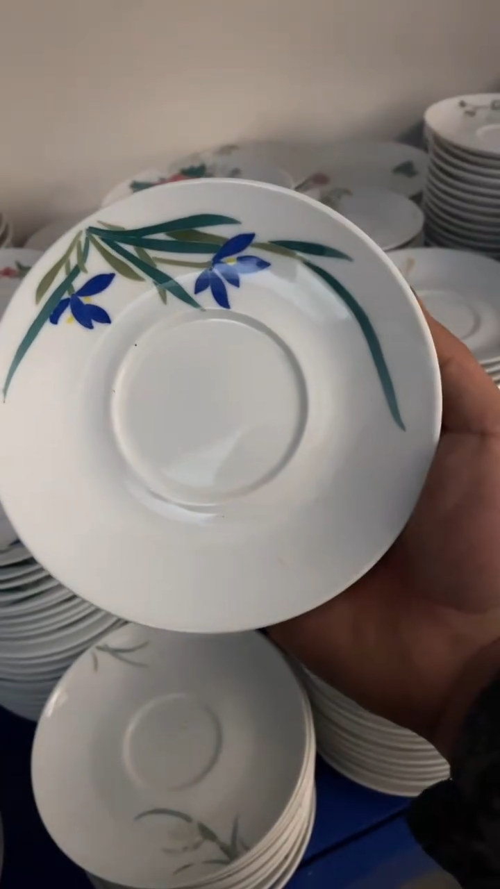 【闪购商品】01釉下五彩高温手绘  碟子