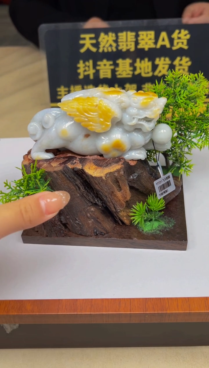 【闪购商品】定制翡翠未镶嵌Q2025-2-8-54