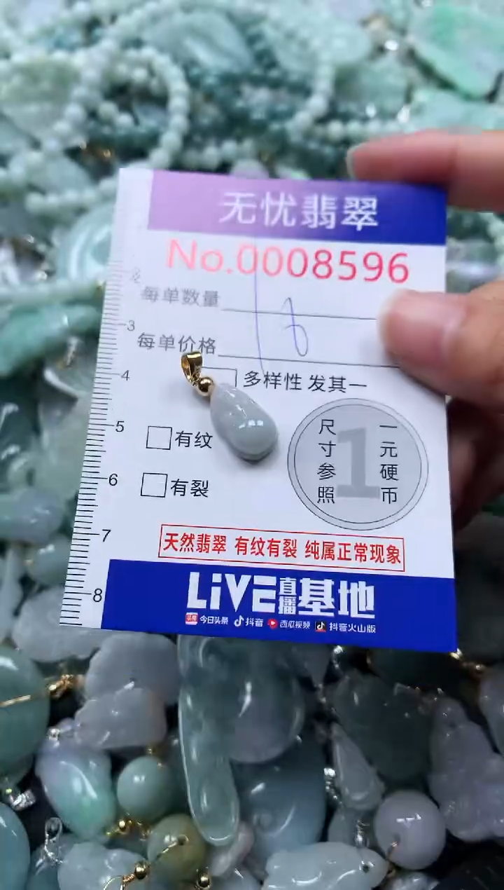 颈饰未镶嵌翡翠8596