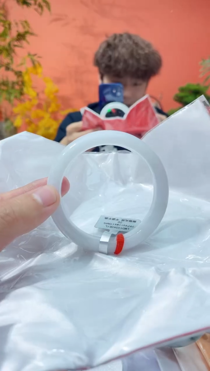 未镶嵌手镯翡翠8