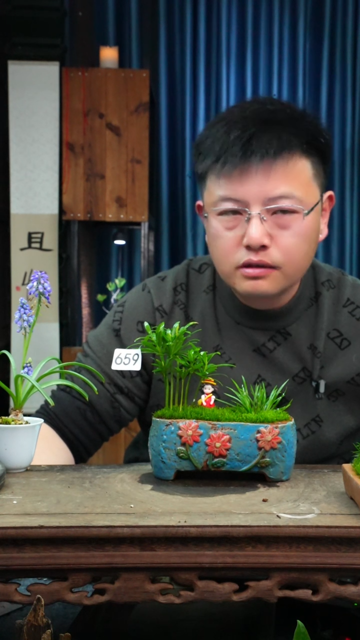 【闪购商品】苔藓微景观659号