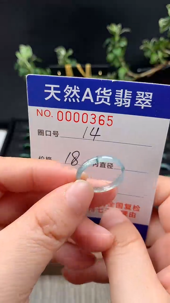 未镶嵌戒指翡翠14#