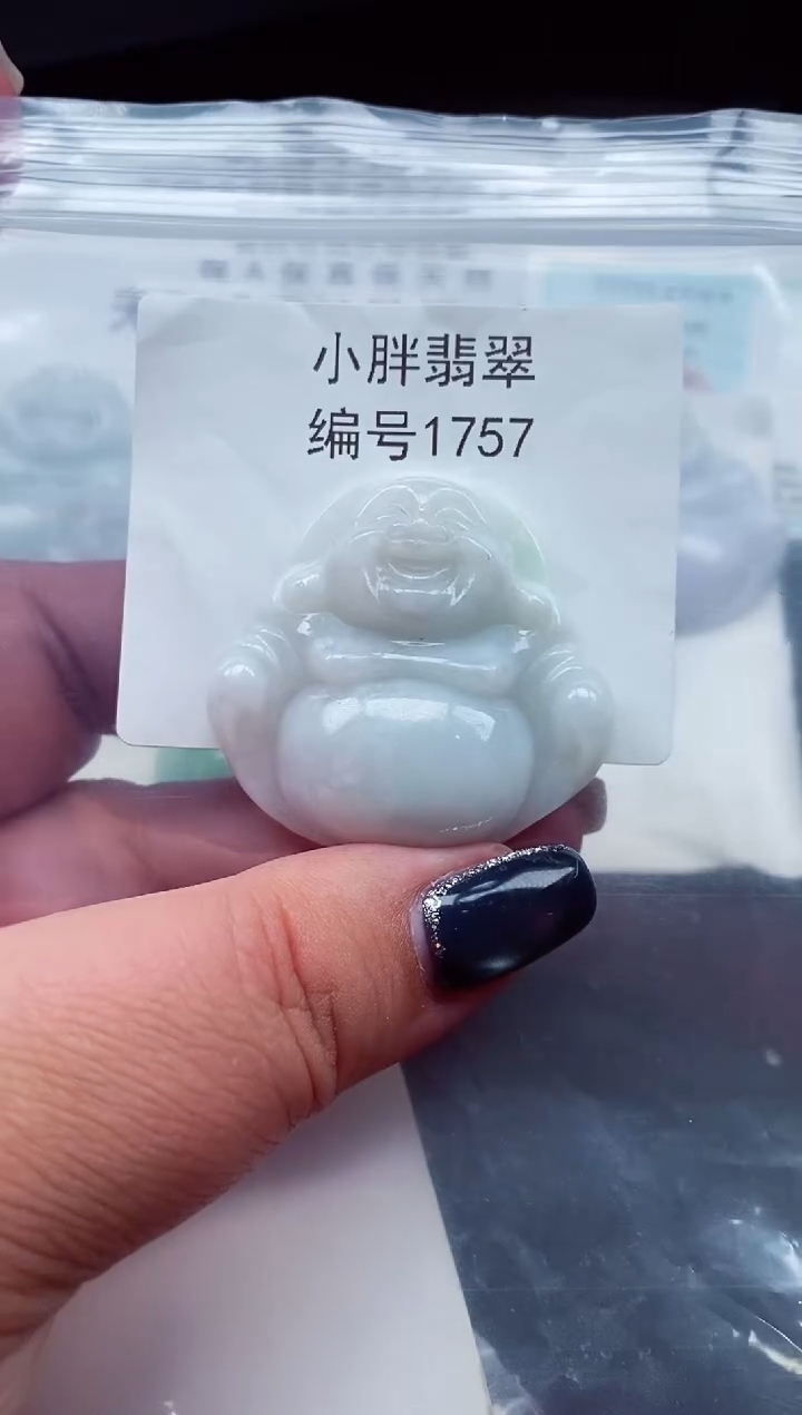 颈饰未镶嵌翡翠缅甸天然A货翡翠1757